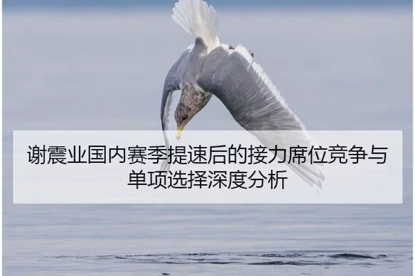 谢震业国内赛季提速后的接力席位竞争与单项选择深度分析